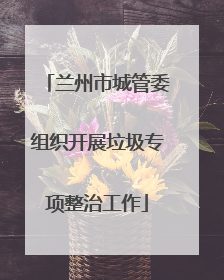兰州市城管委组织开展垃圾专项整治工作