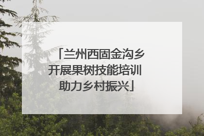 兰州西固金沟乡开展果树技能培训 助力乡村振兴