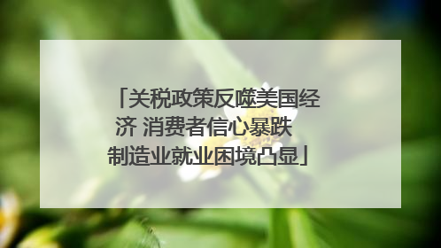 关税政策反噬美国经济 消费者信心暴跌 制造业就业困境凸显