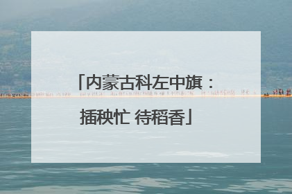 内蒙古科左中旗：插秧忙 待稻香