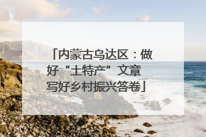 内蒙古乌达区：做好“土特产”文章 写好乡村振兴答卷
