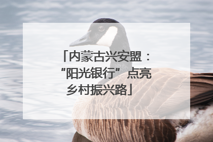 内蒙古兴安盟：“阳光银行”点亮乡村振兴路