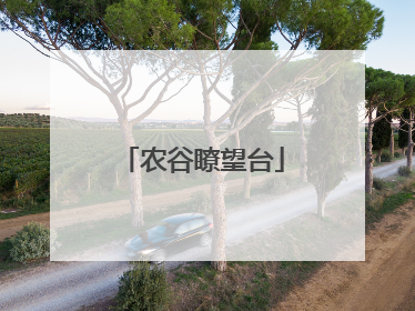 农谷瞭望台