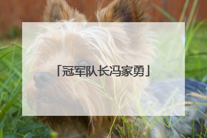 冠军队长冯家勇