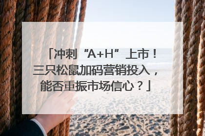 冲刺“A+H”上市！三只松鼠加码营销投入，能否重振市场信心？