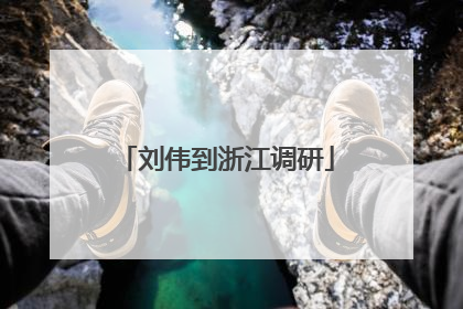 刘伟到浙江调研