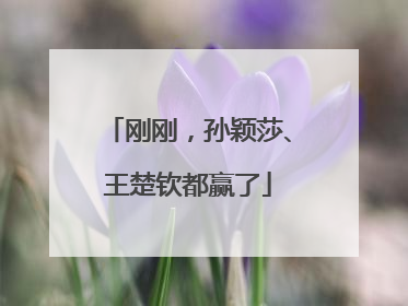 刚刚，孙颖莎、王楚钦都赢了