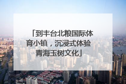 到丰台北粮国际体育小镇，沉浸式体验青海玉树文化