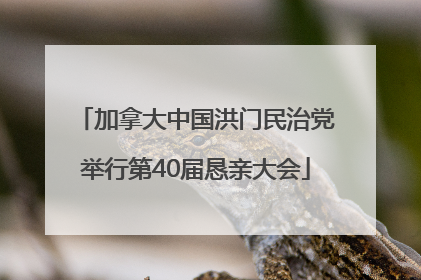 加拿大中国洪门民治党举行第40届恳亲大会