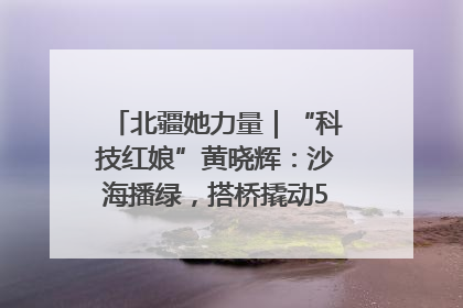 北疆她力量｜“科技红娘”黄晓辉：沙海播绿，搭桥撬动5.3亿研发