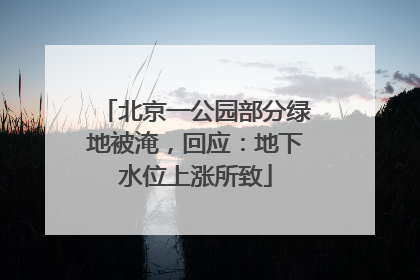 北京一公园部分绿地被淹，回应：地下水位上涨所致