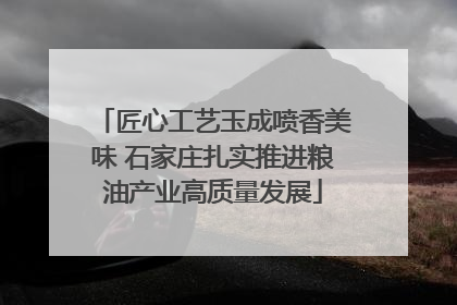 匠心工艺玉成喷香美味 石家庄扎实推进粮油产业高质量发展