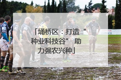 埇桥区：打造“种业科技谷” 助力强农兴种