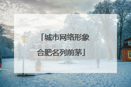 城市网络形象合肥名列前茅