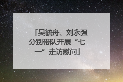 吴毓舟、刘永强分别带队开展“七一”走访慰问