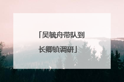 吴毓舟带队到长卿镇调研