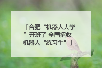 合肥“机器人大学”开班了 全国招收机器人“练习生”
