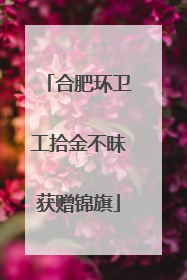 合肥环卫工拾金不昧获赠锦旗