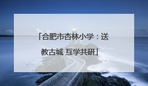 合肥市杏林小学：送教古城 互学共研