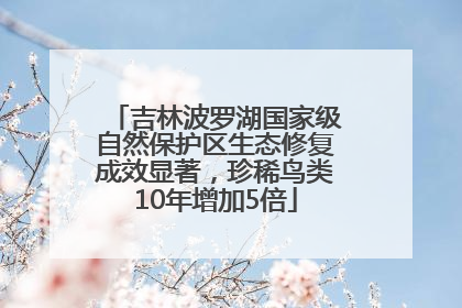 吉林波罗湖国家级自然保护区生态修复成效显著，珍稀鸟类10年增加5倍