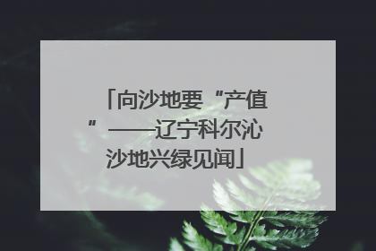 向沙地要“产值”——辽宁科尔沁沙地兴绿见闻