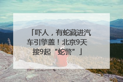 吓人，有蛇藏进汽车引擎盖！北京9天接9起“蛇警”