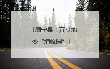 周宁县：方寸地变“增收园”