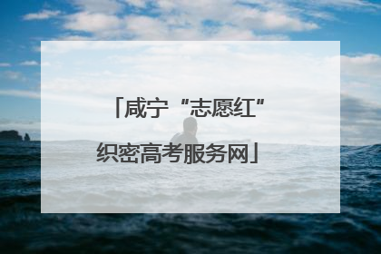 咸宁“志愿红”织密高考服务网