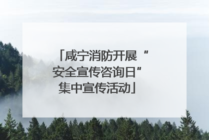 咸宁消防开展“安全宣传咨询日”集中宣传活动
