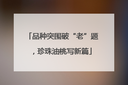 品种突围破“老”题，珍珠油桃写新篇