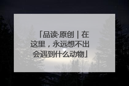 品读·原创｜在这里，永远想不出会遇到什么动物