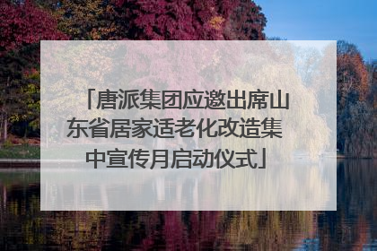 唐派集团应邀出席山东省居家适老化改造集中宣传月启动仪式
