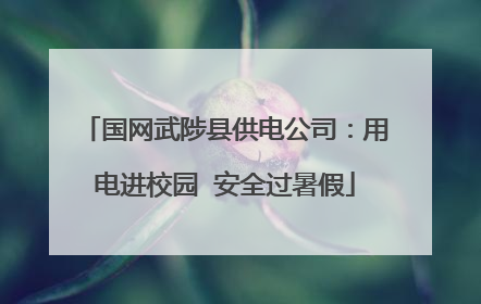 国网武陟县供电公司：用电进校园  安全过暑假