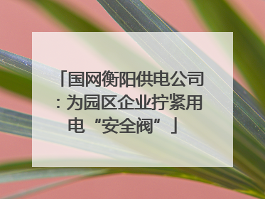 国网衡阳供电公司：为园区企业拧紧用电“安全阀”