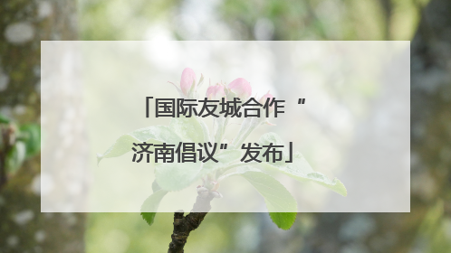 国际友城合作“济南倡议”发布