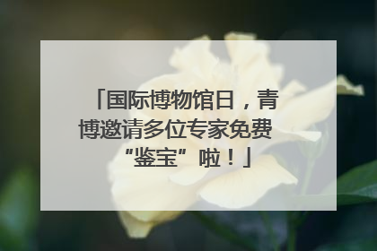 国际博物馆日，青博邀请多位专家免费“鉴宝”啦！