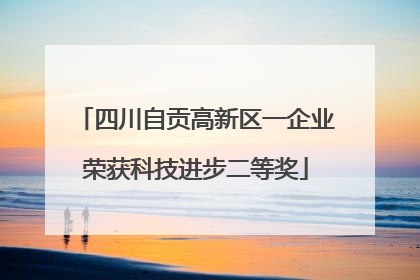 四川自贡高新区一企业荣获科技进步二等奖