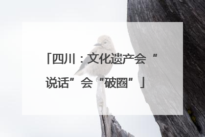 四川：文化遗产会“说话”会“破圈”