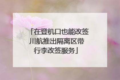 在登机口也能改签 川航推出隔离区带行李改签服务