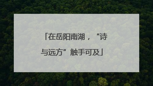 在岳阳南湖，“诗与远方”触手可及