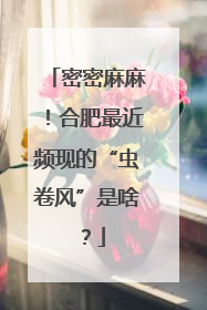 密密麻麻！合肥最近频现的“虫卷风”是啥？