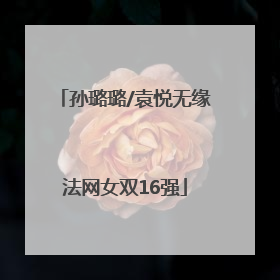 孙璐璐/袁悦无缘法网女双16强