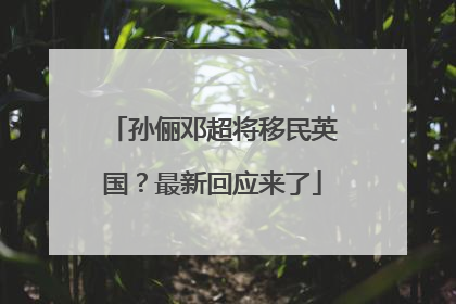 孙俪邓超将移民英国？最新回应来了