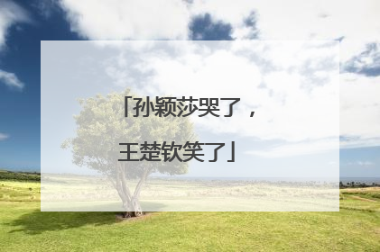 孙颖莎哭了，王楚钦笑了