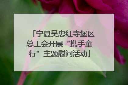 宁夏吴忠红寺堡区总工会开展“携手童行”主题慰问活动