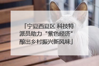 宁夏西夏区 科技特派员助力“紫色经济”酿出乡村振兴新风味