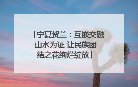 宁夏贺兰：互嵌交融 山水为证 让民族团结之花绚烂绽放