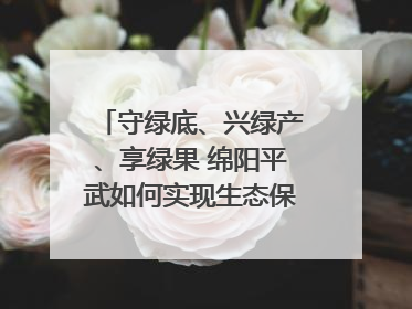 守绿底、兴绿产、享绿果 绵阳平武如何实现生态保护与经济发展双赢？｜新闻发布最前线·深一度