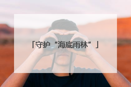守护“海底雨林”