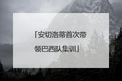 安切洛蒂首次带领巴西队集训